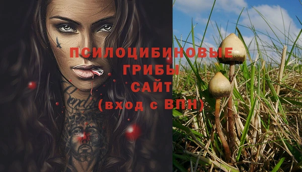 СК Баксан