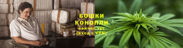 бошки Балахна