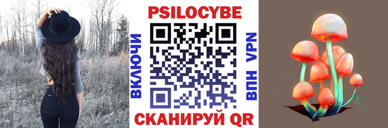 купить наркоту  Заводоуковск  Псилоцибиновые грибы мухоморы 